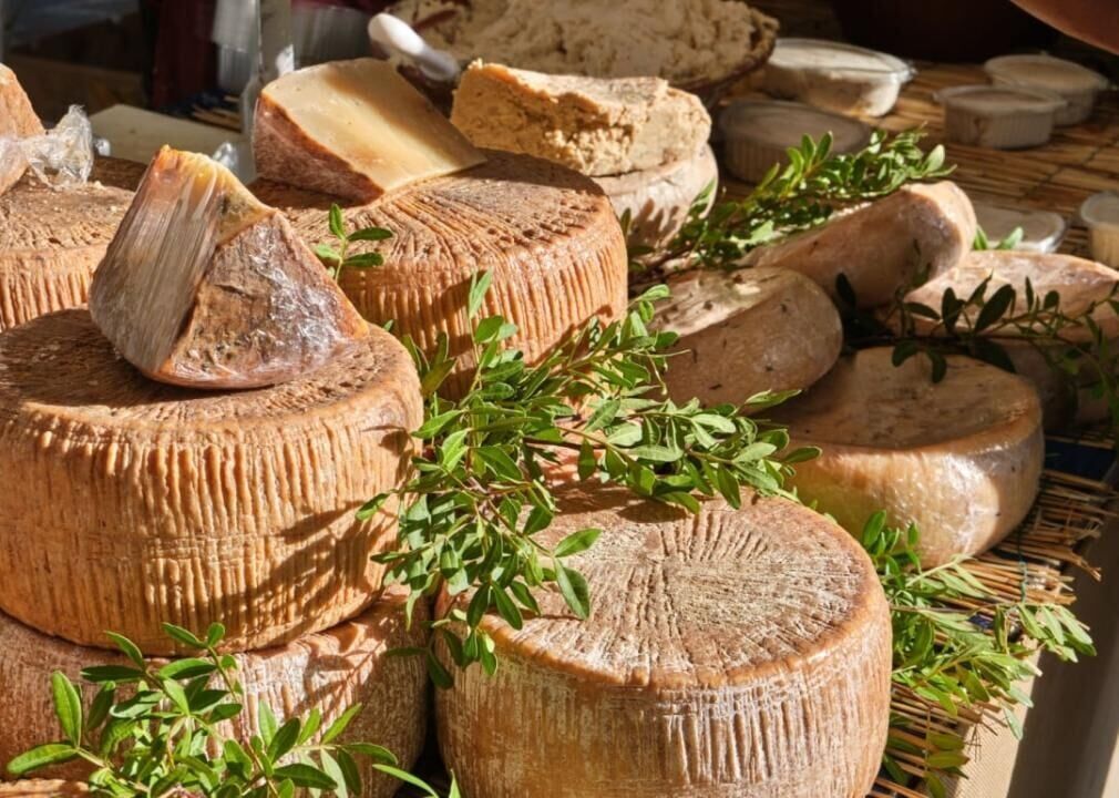 Casu marzu